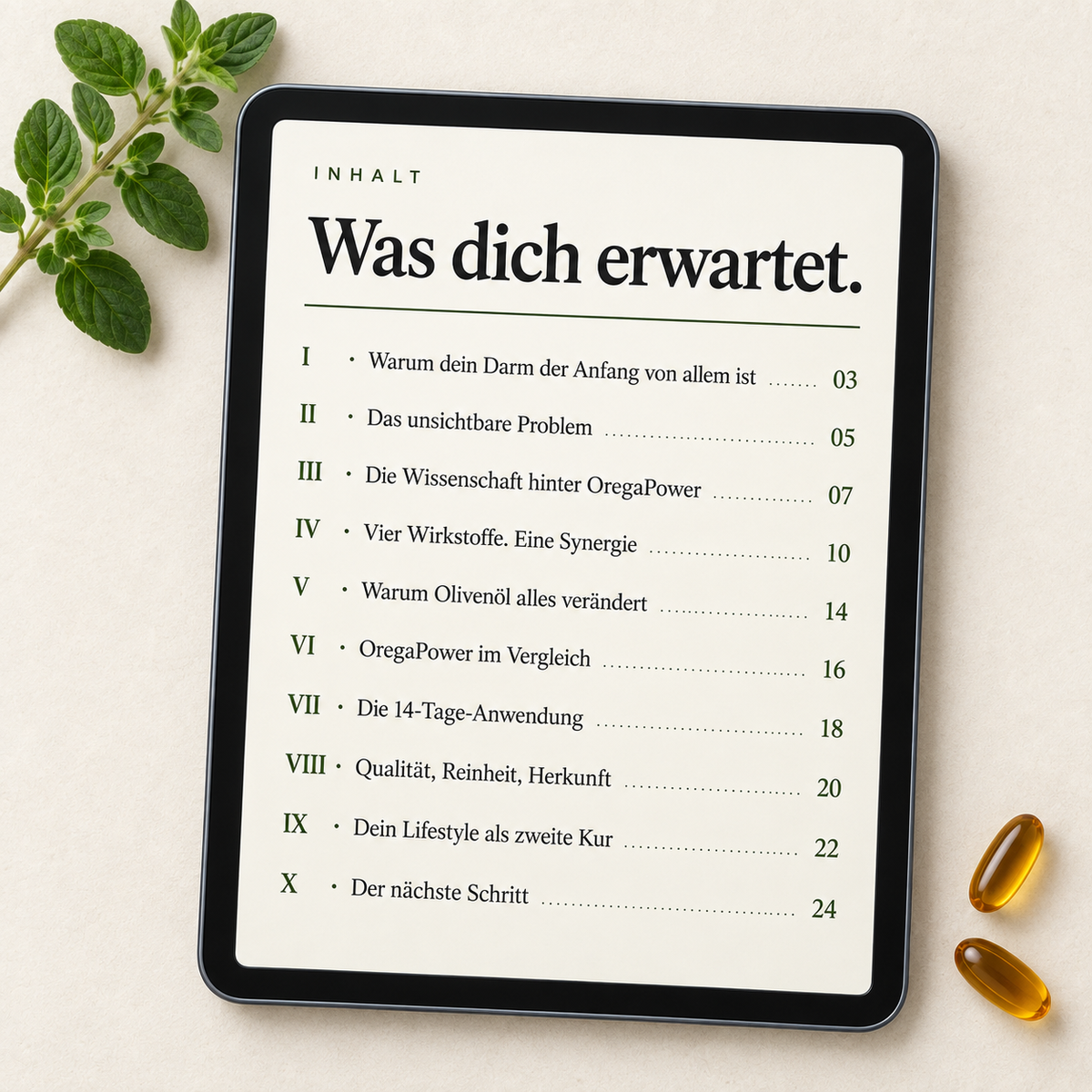 E-Book OregaPower Gesundheits-Ratgeber
